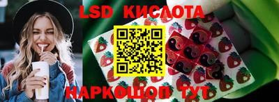 стафф Шахты