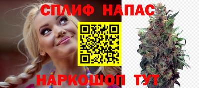СК Шелехов