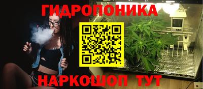 СК Шелехов
